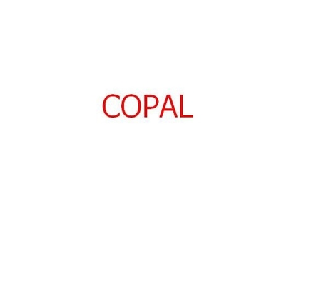Copal 6030/6550 minilab 140x22x35mm용 화학 필터 협력 업체